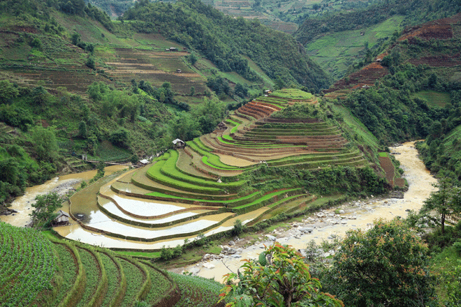 Chiêm[-]ngưỡng[-]vẻ[-]đẹp[-]Mù[-]Cang[-]Chải[-]mùa[-]nước[-]đổ